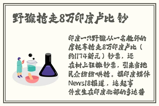罗志祥5G天天奭多人观后感蘑菇屋